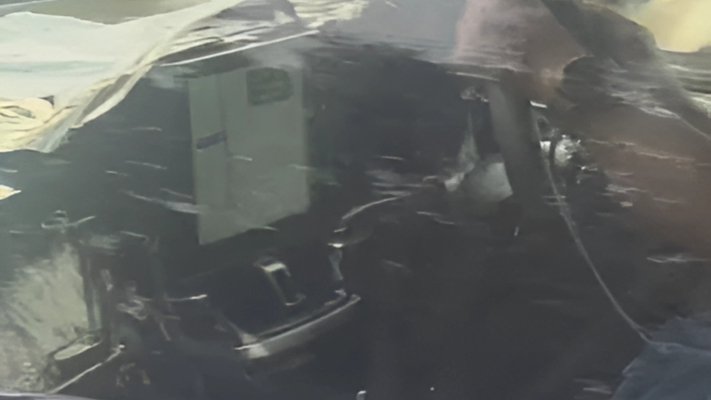 maruti suzuki